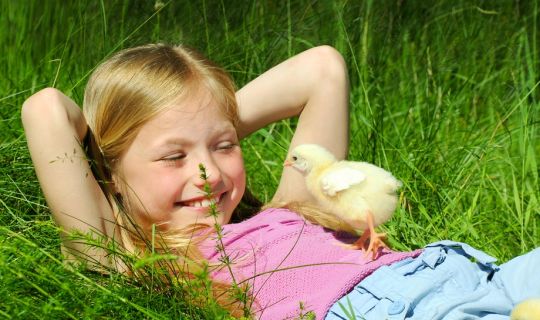 Dzieciochatki Agroturystyka - dzieci sa tu najwazniejszymi goscmi