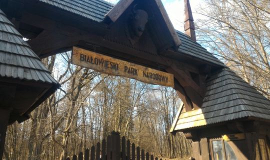 Rodzinna wycieczka do Bialowiezy Bialowieski Park Narodowy